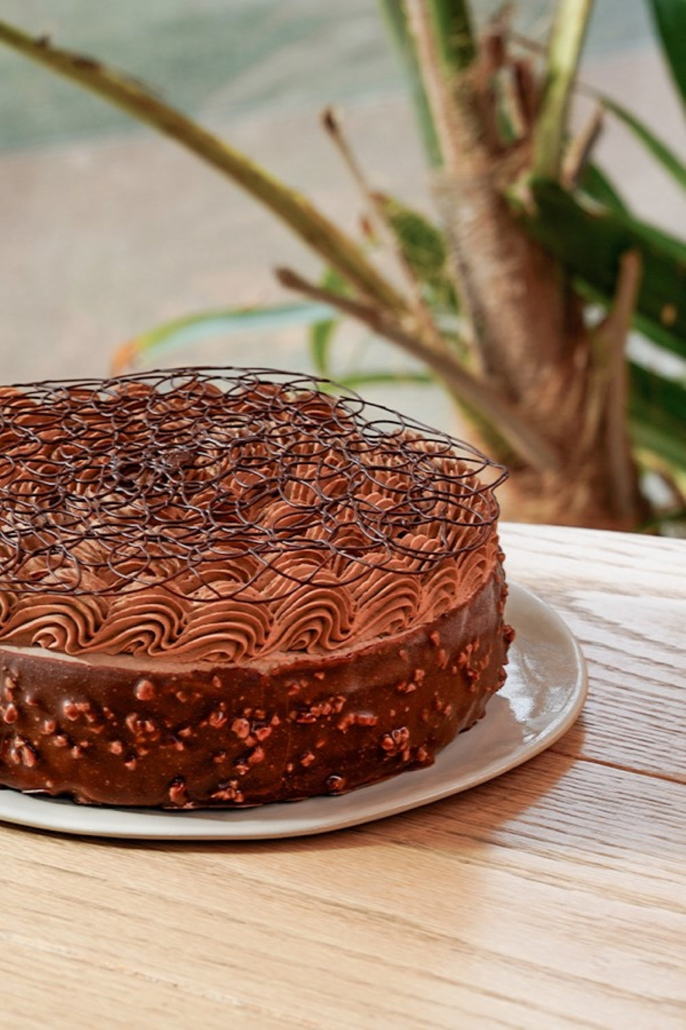 DECADENT (6-8 PORTIONS)