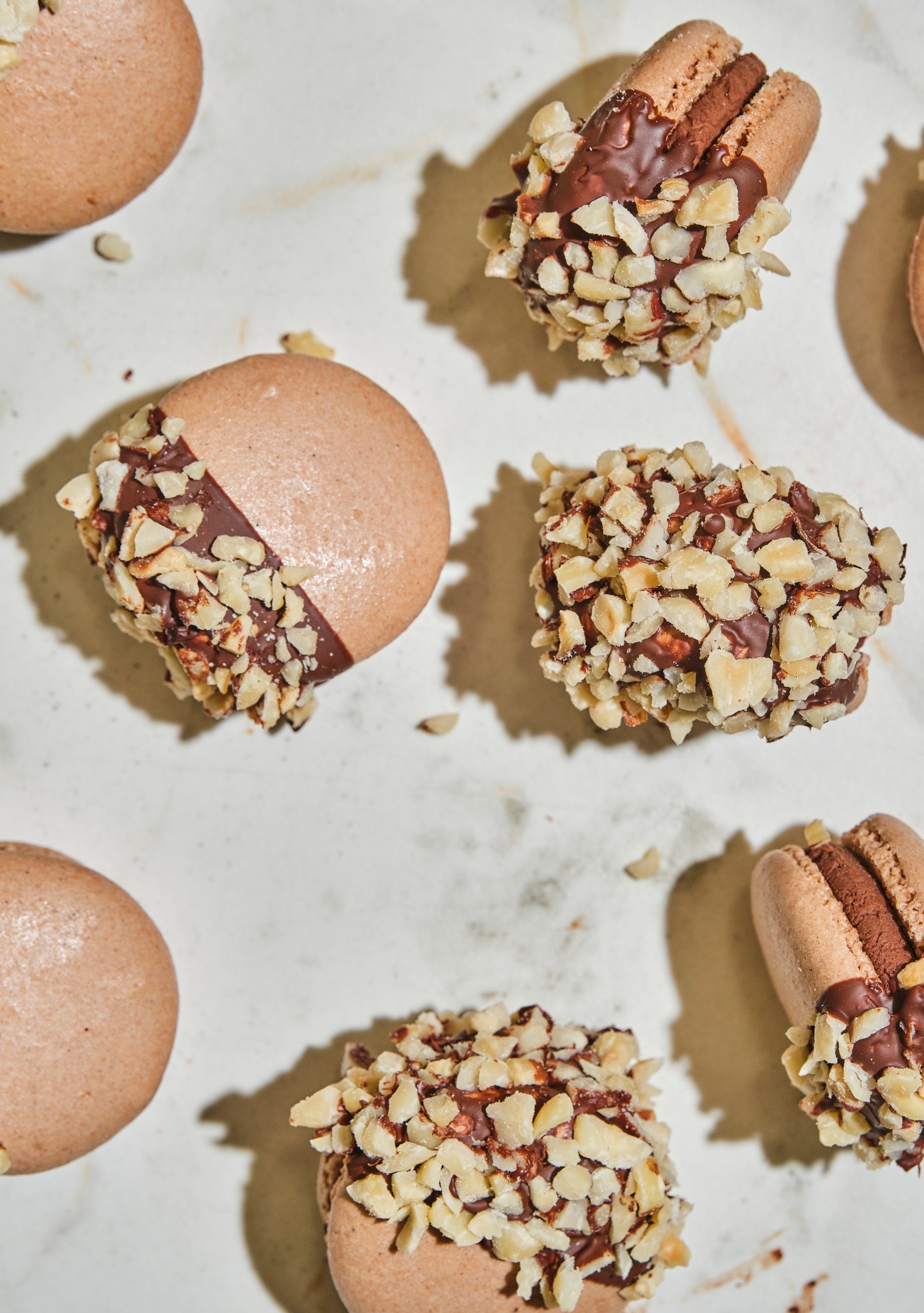 HAZELNUT CHOCOLATE COVERED MACARON (Box)