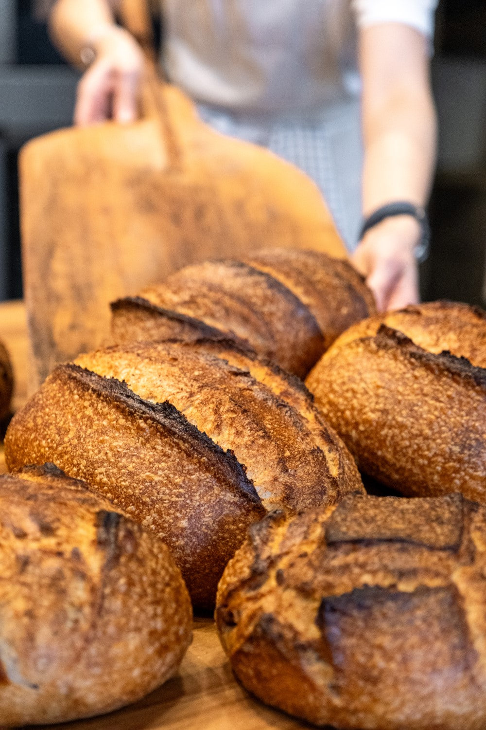 RUSTIC BREAD